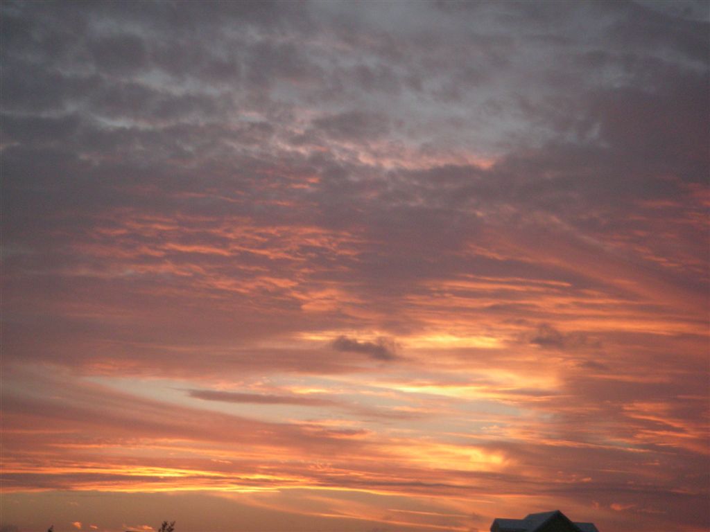 PICT0111