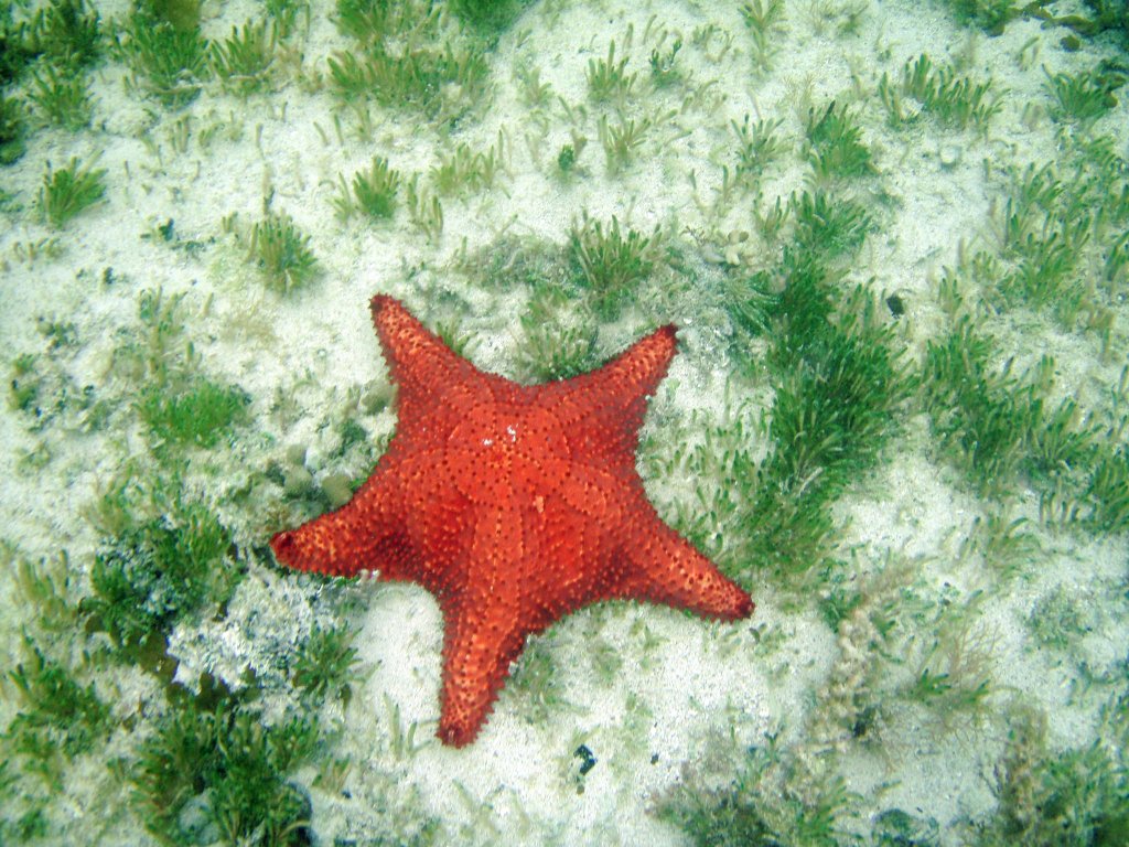 PB262546