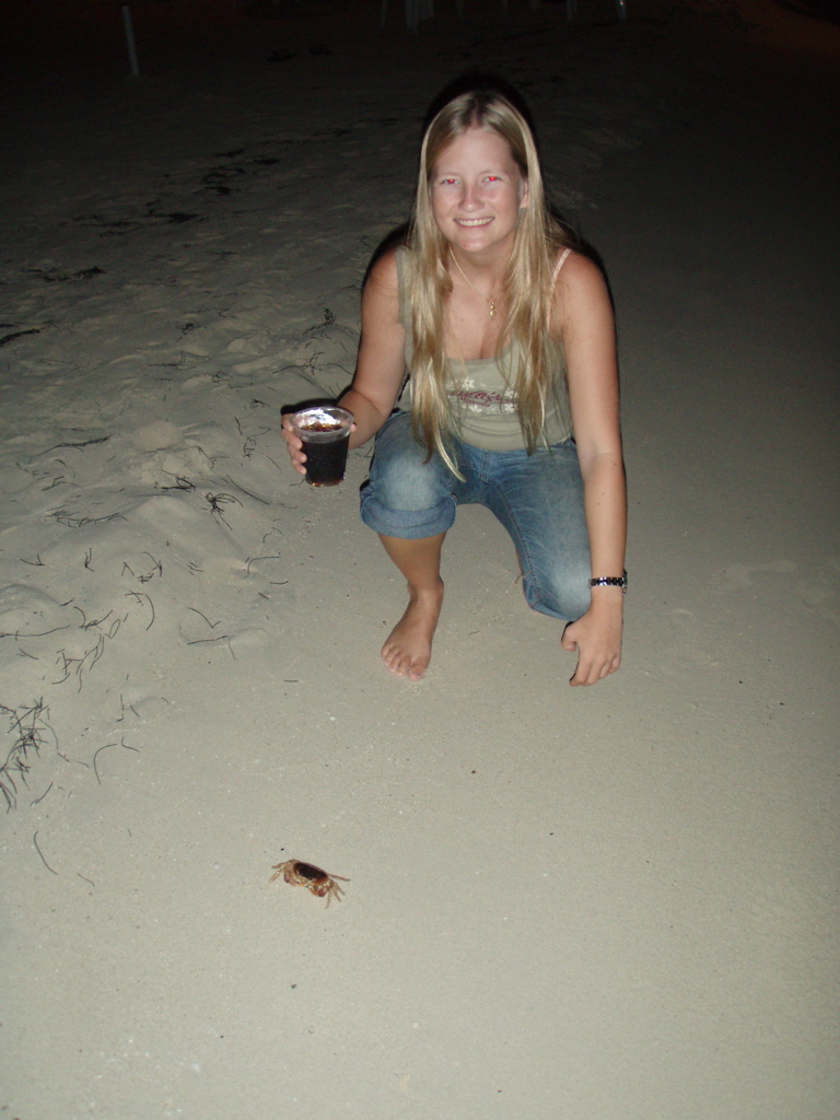 crab on de beach