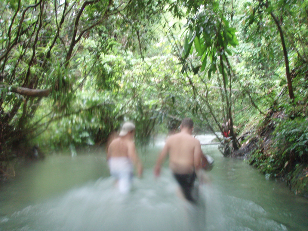 mayfield falls, negril, jamaica