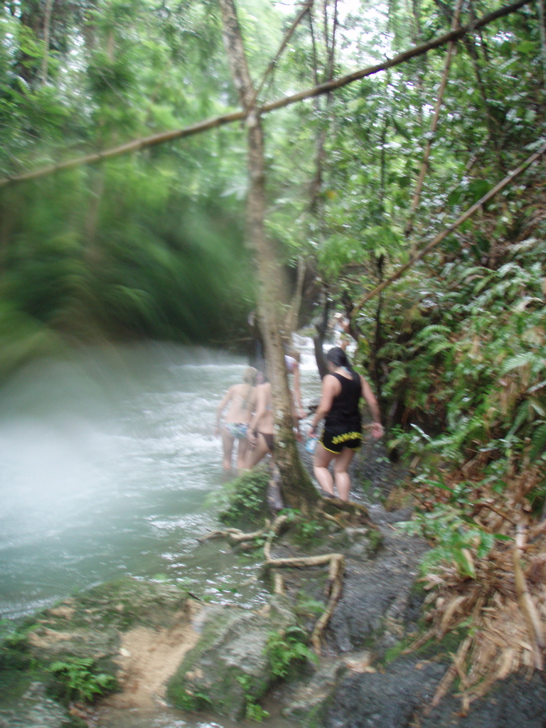 mayfield falls, negril, jamaica