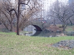 PC310036